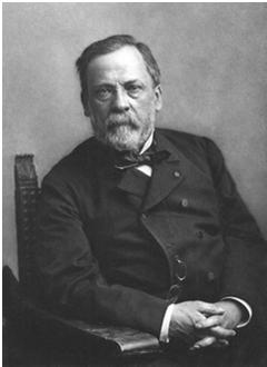 never think of finding a remedy for it, but instead, a means of preventing it Louis Pasteur (1822-1895) The Aging Population and the Importance of Preventive Care By