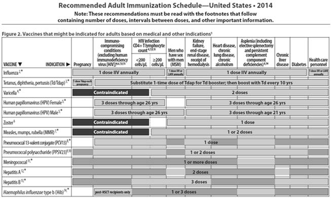 Live-Attenuated Vaccines