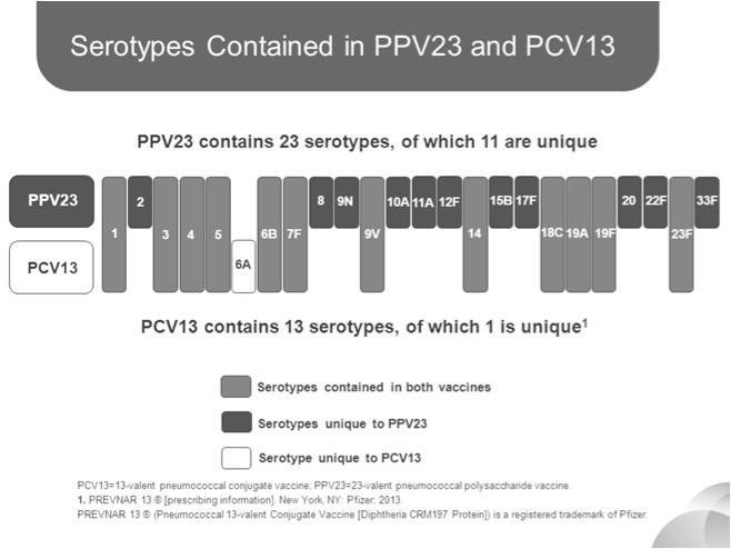 Introduced 2000 7-valent polysaccharide conjugate vaccine licensed (PCV7)