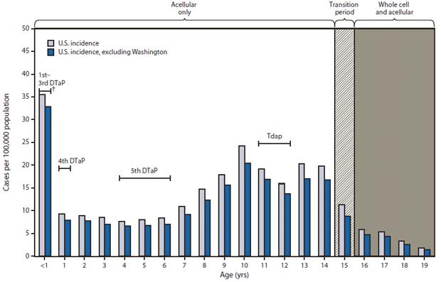 Incidence of pertussis among persons aged 19 years, by age