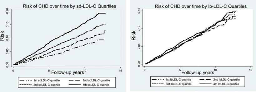 Cumulative incidence curves for risk of coronary heart disease (CHD) by small dense lowdensity lipoprotein-cholesterol (sdldl-c) and large buoyant LDL-C (lbldl-c)