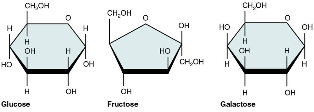 Monosaccharides and Disaccharides Carbohydrates only contain the elements carbon, hydrogen and