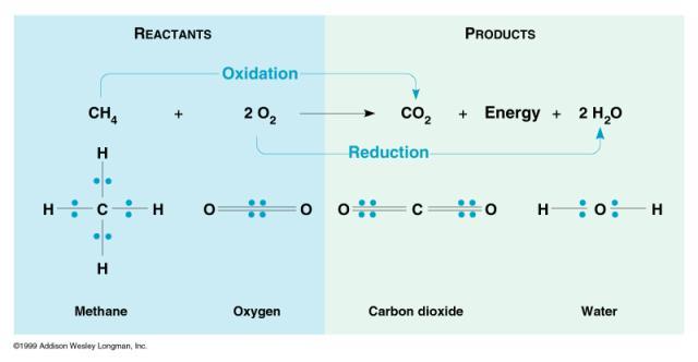 Oxidation-Reduction (Redox) Reactions Oxidation is e- loss; reduction is e- gain OIL RIG (adding
