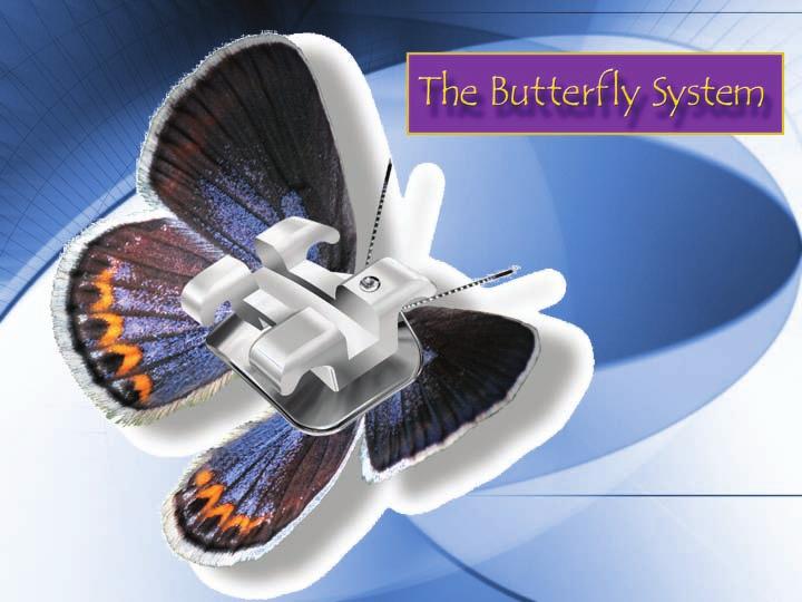 The Butterfly Sy