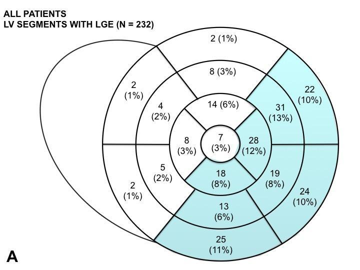 LGE had a patchy pattern, with midmyocardial or sub-epicardial distribution in 49 (21%) and 183