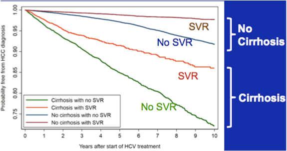 DAA therapy is associated with significant decrease in mortality risk in patients with decompensated HCV