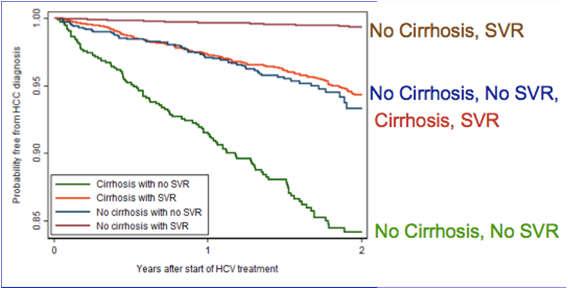 LB27 Eradication of HCV induced by DAAs is associated with a 71% reduction in HCC risk VA Retrospective