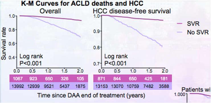 Impact of SVR with DAA treatment on mortality and HCC SVR was associated with statistically significantly reduced all-cause mortality compared to No SVR (p<0.001).