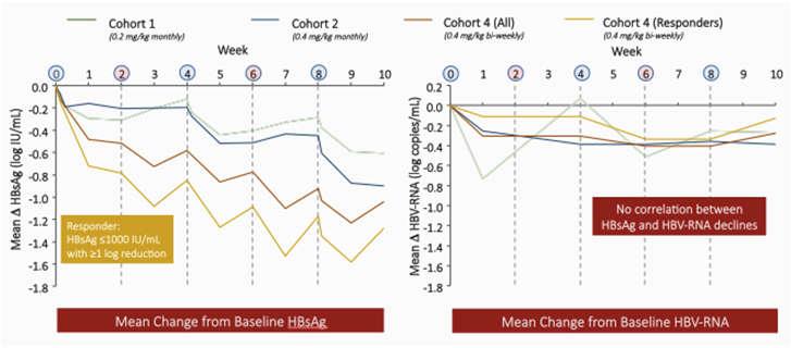 co-transporter NTCP ALT levels improve HBsAg does not change Bile acids increase without pruritus Wedemeyer et alet al HEPATOLOGY. 2017 66(1)# 37.
