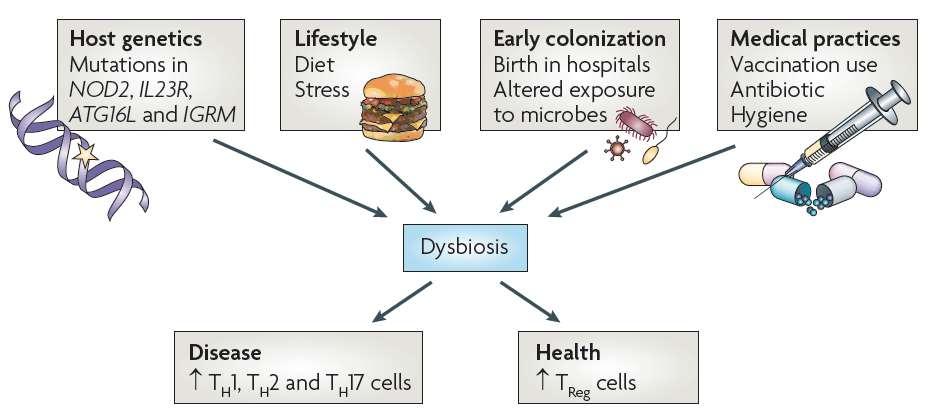 PROPOSED CAUSES OF DYSBIOSIS OF THE MICROBIOTA Increased incidence of