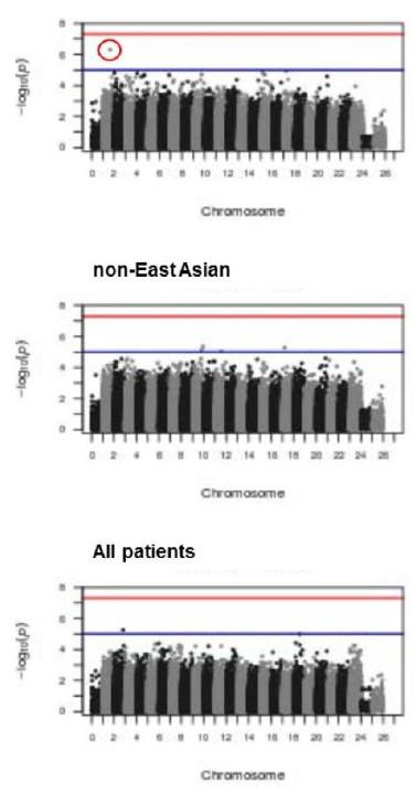 Genetic Variation in FCER1A Predicts Peg-IFN Alfa-2a-Induced HBsAg Clearance in East Asian Patients With CHB East Asian GWAS study in 1,636 treated with IFN alpha 2a In gene-by-gene analyse, one