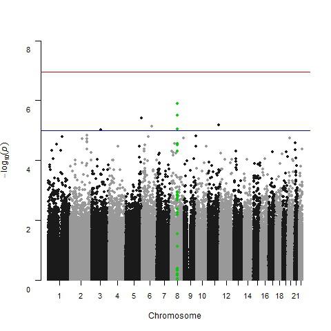 GWAS study in 1045 IFN treated CHB patients NCOA2 Region on Chr. 8 in Caucasians Caucasians (n=375) Identified an interesting region on chromosome 8 (NCOA2) P-value of lead SNP in Caucasians is 1.