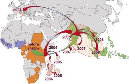 Chikungunya Virus Previously confined to central Africa but during the last