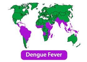 Hypothesis: Global warming will increase the incidence of mosquitoborne infectious diseases Rationale: Most mosquito-borne diseases, including Dengue, Malaria, and Yellow Fever occur in the tropics,