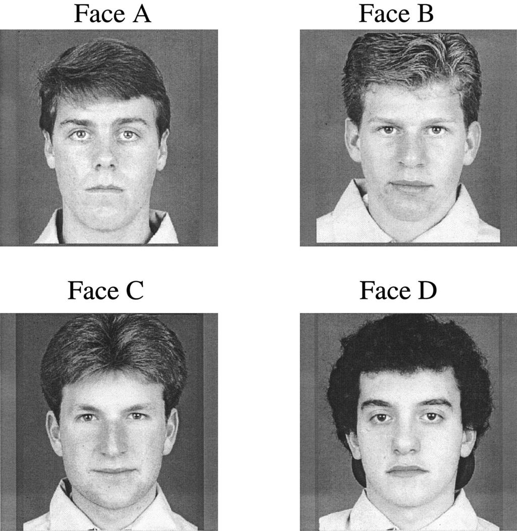 SELECTIVE AFTEREFFECTS IN FACE PERCEPTION 433 Figure 14. Faces used to test transfer of adaptation between different individual faces.