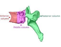 INTRODUCTION The initial division of spine into three columns for describing post traumatic