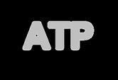 Adenosine Triphosphate (ATP) ATP is the most important compound involved in the transfer of