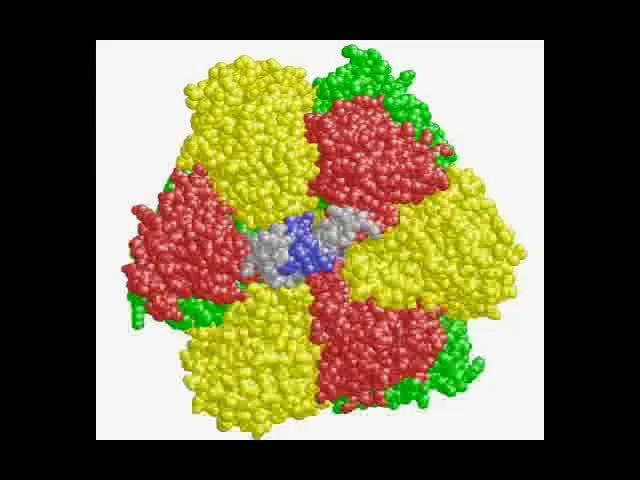 Video: ATP Synthase
