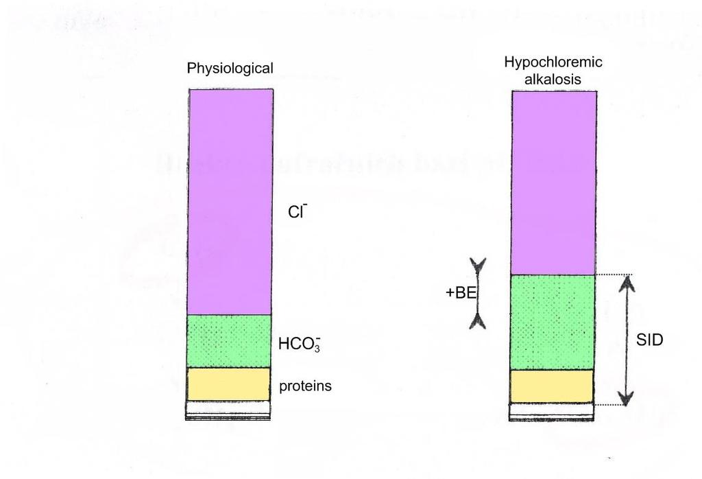 physiological acute compensation -lungs -hypoventilation [HCO 3- ] 24 mmol/l pco 2