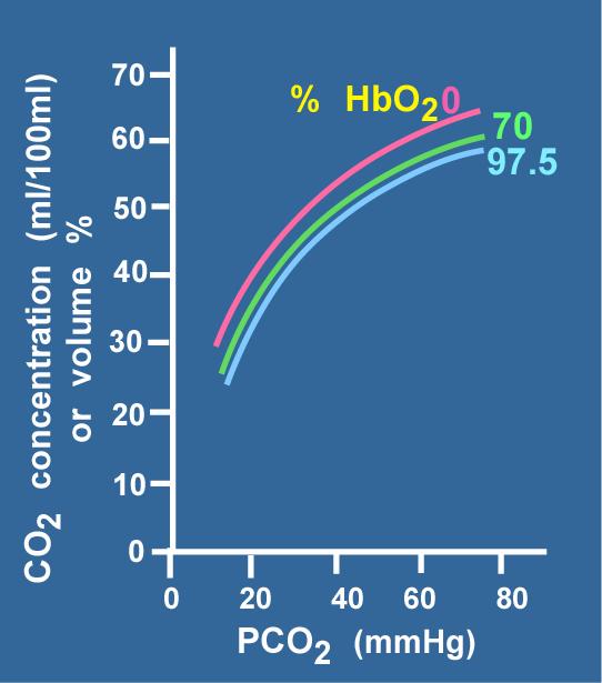 Carbon dioxide dissociation curve 53 vol% 49