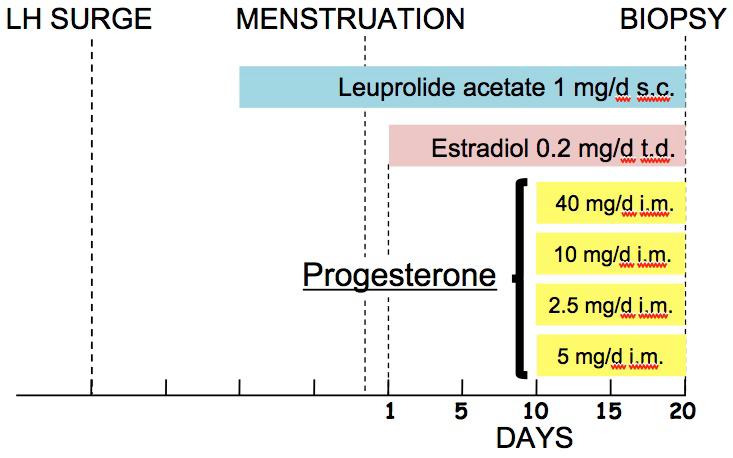 Progesterone and the Endometrial Transcriptome Leuprolide acetate 1 mg/d td sc Estradiol 0.