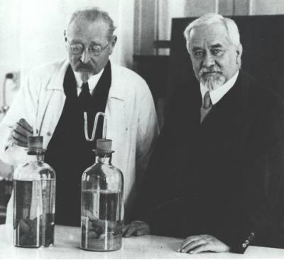 Invention of BCG Vaccine By Calmette and Guérin, 1906-1921 TB and BCG Vaccination Efficacy for adult pulmonary TB 0-80% in randomized clinical trials Best efficacy against serious childhood