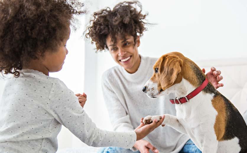SURPRISING NEWS ABOUT ECZEMA The family dog could protect your kids against eczema.