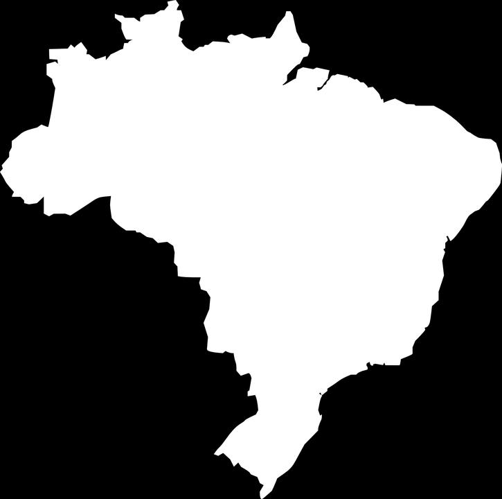 characterization of the Brazilian researchers in the