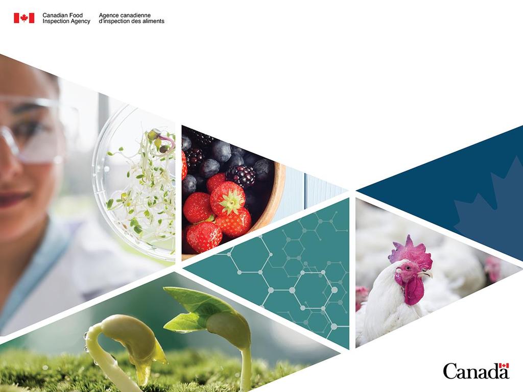 Food Labelling in Canada Food Safety and Quality Summit, New Delhi Nitin Verma, Counsellor Agriculture & Regulatory Specialist Canadian Food Inspection Agency
