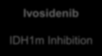 Glioma Ivosidenib IDH1m