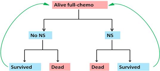 0 0 0 If a patient stops receiving chemotherapy, he or she would not be at risk of developing neutropenic sepsis.