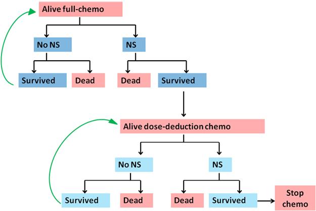 Figure A: Model B Simplified transition state diagram 0 0 0 Alive full-chemo = Alive cancer patients who are receiving full-dose chemotherapy Alive dose-reduction chemo = Alive cancer patients who
