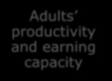 Status Adults productivity