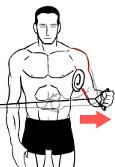 Standing or sitting, attach Theraband to door handle, elbow tucked into side. Grasp Theraband, rotate arm and pull band away from body slowly and controlled. Return to start position.