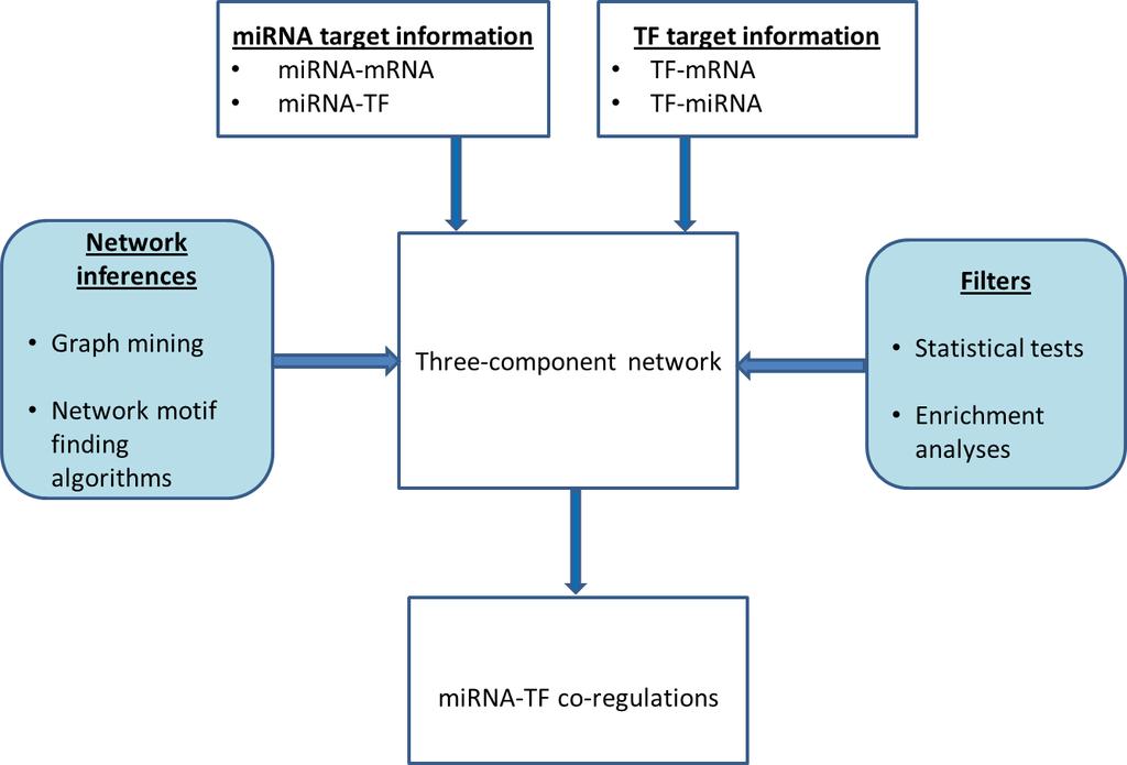 DISCOVERING mirna AND TF CO-REGULATORY RELATIONSHIPS TFs and mirnas are primary gene regulators, and identifying their functions is a challenging and important research topic.