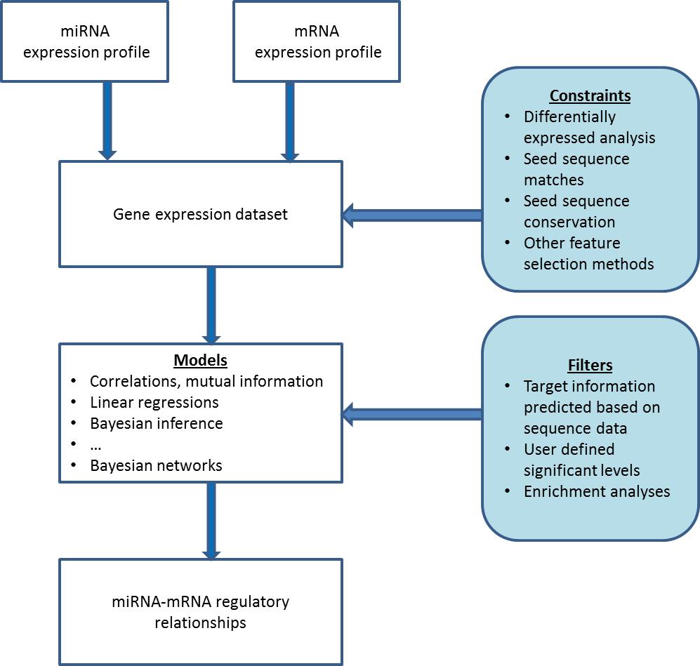 mirna targets. Recent advances focus on integrating multiple expression datasets, or using heterogeneous data such as over-expression data and sequence data in building a model.