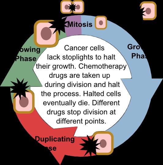 Ways to treat cancer.