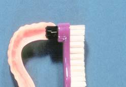 Denture Brushes/ Denture Boxes Brushes