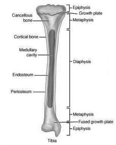 Here s the Pattern What Xrays do you have?