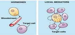 General principles: 1. Signals act over different ranges. 2. Signals have different chemical natures. 3. The same signal can induce a different response in different cells. 4.