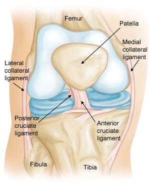 Anterior Cruciate Ligament Injuries One of the most common knee injuries is an anterior cruciate ligament sprain or tear.
