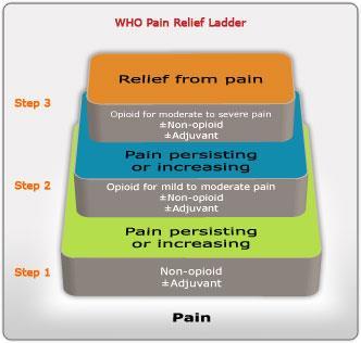Why non-opioid analgesics Improve pain management Eliminate the need for opioids Enhance the opioid