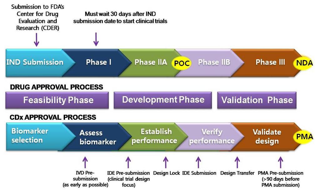 S) IVD-CDx development process Regulatory