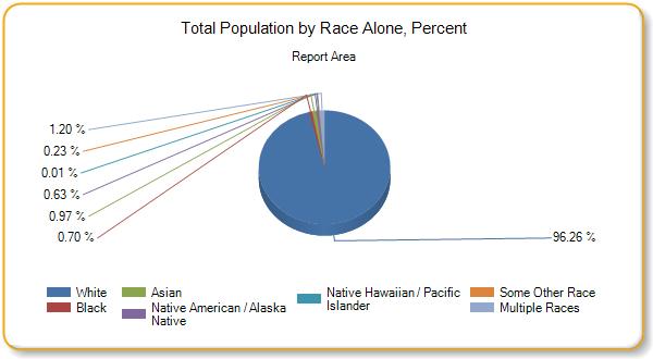 Total Population by Ethnicity Alone Total Population Hispanic or Latino Population Percent Population Hispanic or Latino Non-Hispanic Population 125,782 2,412 1.92% 123,370 98.08% Pierce 40,870 667 1.