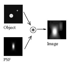 Principles of Confocal Microscopy Detector Beamsplitter Confocal pinholes Laser Mathematical description of imaging system: g = h * f g : Response of imaging system h : Point spread function f :