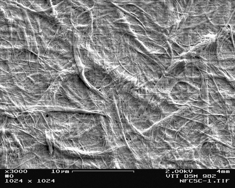 1µm Membrane 0.1 µm <0.