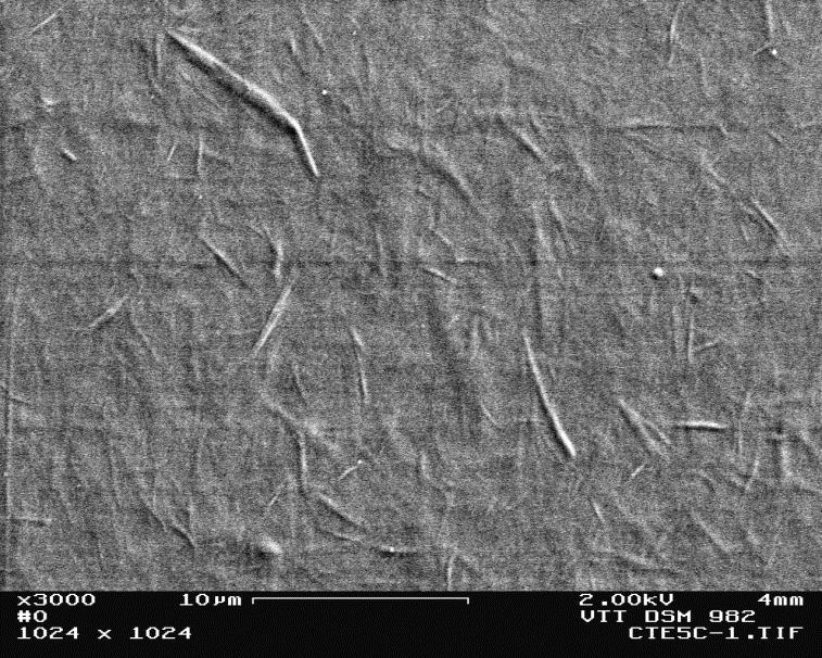 SEM images (NFC-TE/CTP) NFC (feed) 20µm