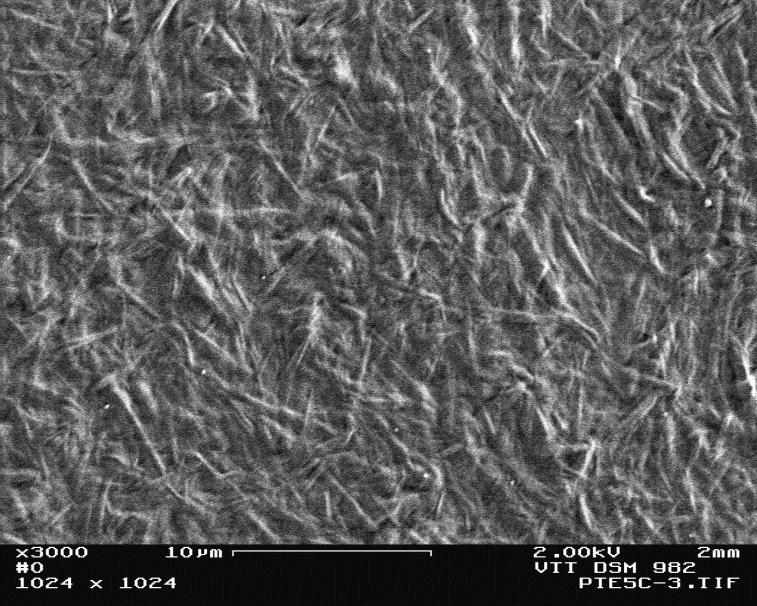 Net 1µm Membrane 0.1 µm <0.