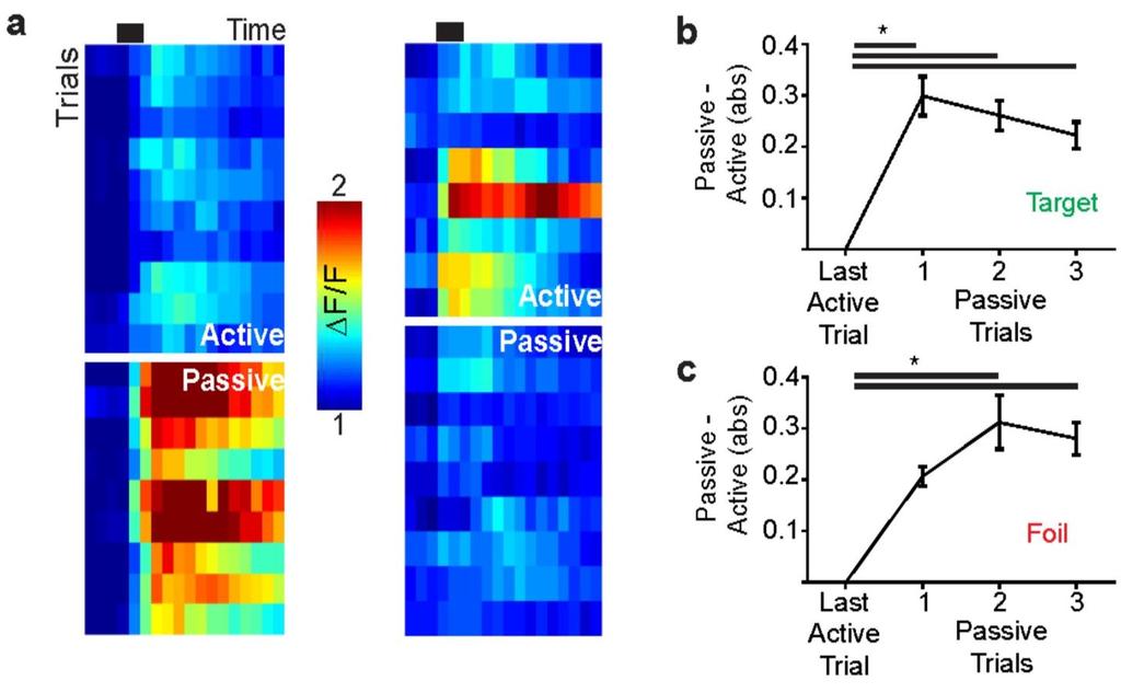 Supplementary Figure 4 Rapid switching of neuronal activity after changing contexts a, Heatmap showing trial-by-trial change in calcium response with the transition point (black bar) indicating when