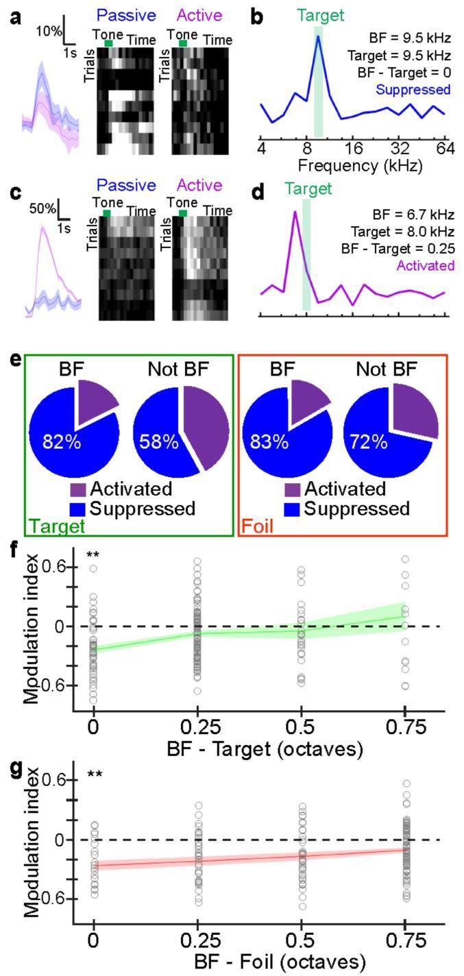 Supplementary Figure 5 Task-related suppression was strongest for neurons with best frequencies close to targets or foils a, Example neuron with best frequency (BF) close to target tone.